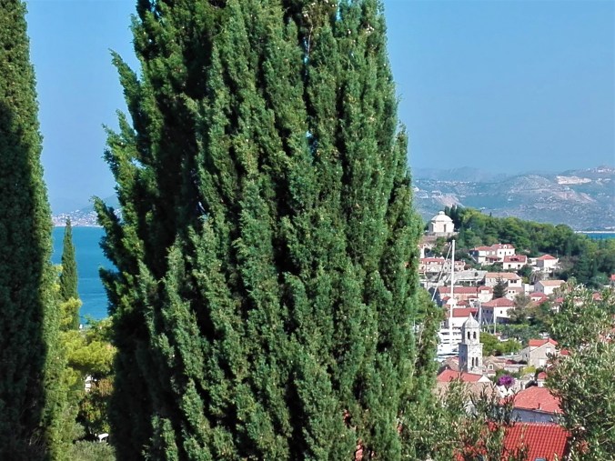 IMG_20180828_090445 (3)